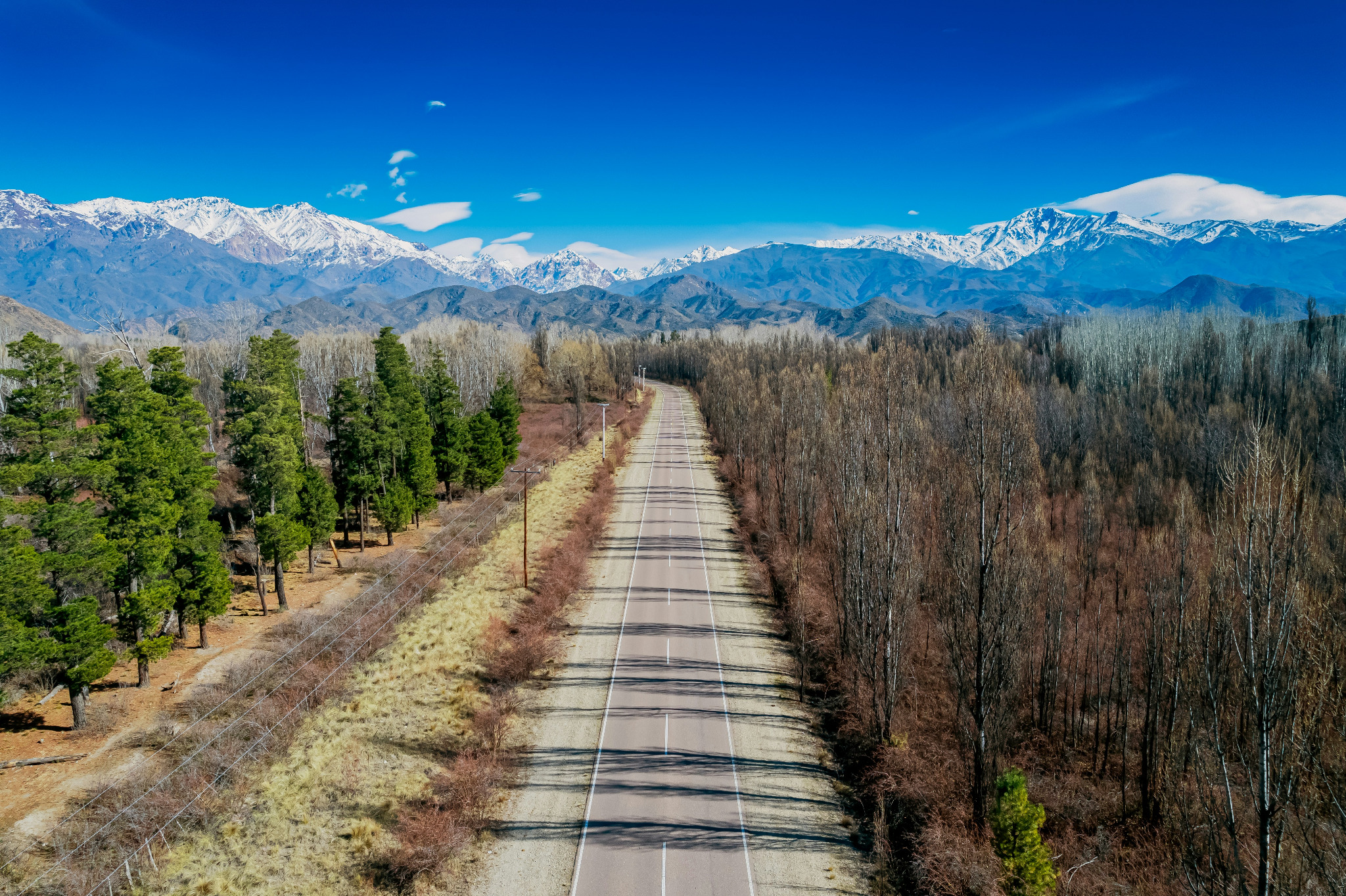 Mendoza